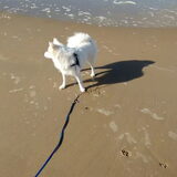 Foto van anja met Bobby(r.i.p. 25-9-25)