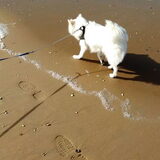 Foto van anja met Bobby(r.i.p. 25-9-25)