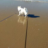 Foto van anja met Bobby(r.i.p. 25-9-25)