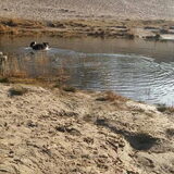 Foto van Angelique, Kleine Maybe en Tess <3