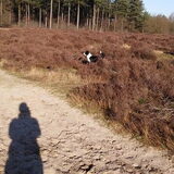 Foto van Angelique, Kleine Maybe en Tess <3