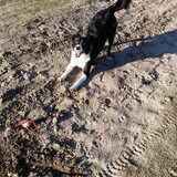 Foto van Angelique, Kleine Maybe en Tess <3