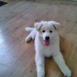 Foto van Sky