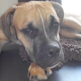 Sam op 7 maanden ...