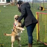 Foto van Lotte en Lola