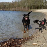 Foto van Ciska en Spanjaardje Moh (Bambi r.i.p.)
