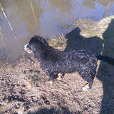 Foto van Cindy