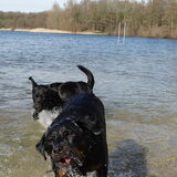 Foto van Ciska en Spanjaardje Moh (Bambi r.i.p.)