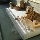 Foto van Manon en de meiden, Vera*, Lexi*, Pientje* en Mara