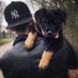9.5 week