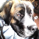 Foto van Coby & Wanda en Mathilde