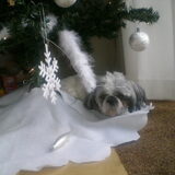 Mijn eerste kerstfeest