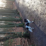 Foto van Michelle & Bentley