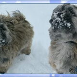 Cash in de sneeuw, kerstbewerking.