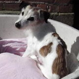 Tessa 14 maart 2015
