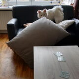 Foto van anja met Bobby(r.i.p. 25-9-25)