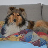 Foto van Lien, Luca† en Wifi  /wi:fi:/