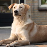 Foto van Elske