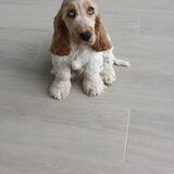Foto van Monique