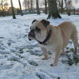 ooh wat een mooie witte wereld effe op m,n gemakkie kijken hoor