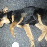 Taico slapen