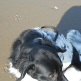 Foto van Michelle & Bentley