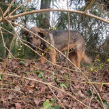 in de tuin