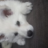 Foto van Richelle & Vegas