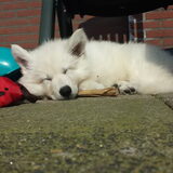 Foto van Richelle & Vegas