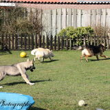Foto van Tamara - Abby, Anna, Jamie, Aylin & Suki
