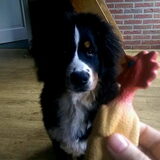 Foto van Cindy