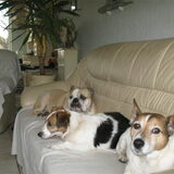 knus he zo met z,n allen op de bank