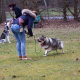 EG cursus