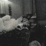Foto van Angelique; Bruno, Charlie & Fenna