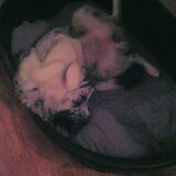 Foto van Angelique; Bruno, Charlie & Fenna