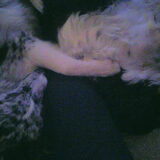Foto van Angelique; Bruno, Charlie & Fenna