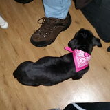 Foto van rick