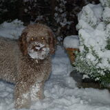zoooo lekker sneeuwneusje gehaald