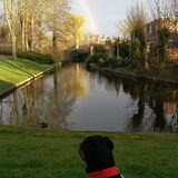 Schadow kijkt naar een regenboog
