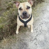 Misia, 11 jaar en going strong.