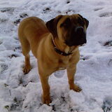 Binti in de sneeuw, 5 mnd.