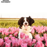 Foto van Angelique; Bruno, Charlie & Fenna