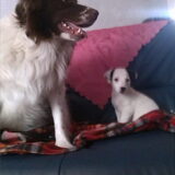 de 2 schatjes samen ?