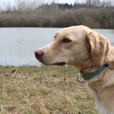 Foto van Vera met Abby & Cantor !