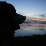 My Beauty :)