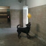 Zijn grote hobby, met ballonnen spelen!