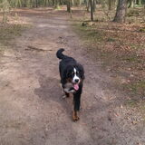 Foto van Cindy