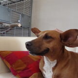 Foto van yooop