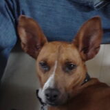 Foto van yooop