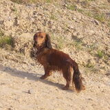 Foto van Annelies met  Sem